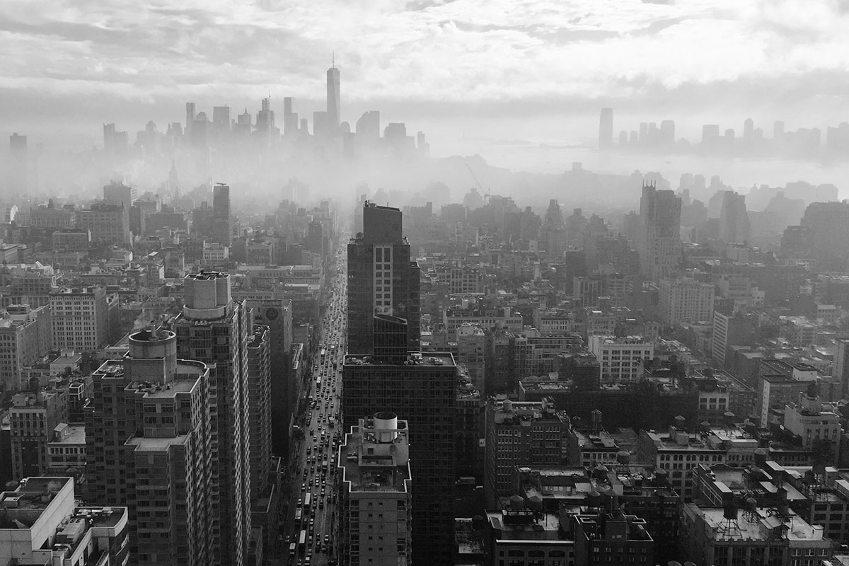 New York Web Buzz 2016